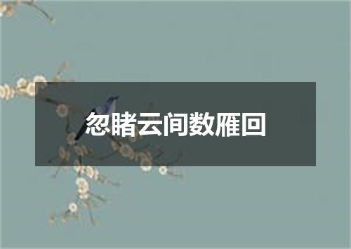 忽睹云间数雁回