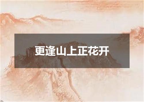 更逢山上正花开