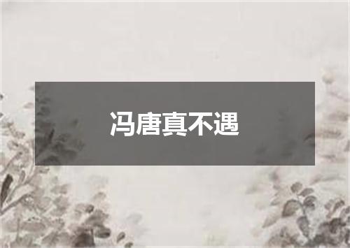 冯唐真不遇