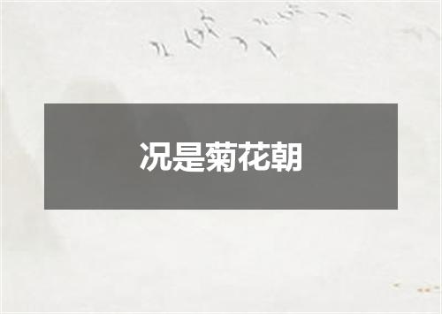 况是菊花朝