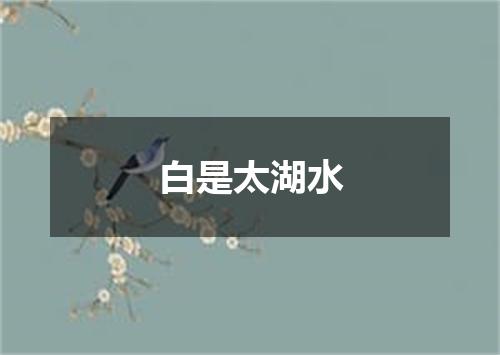 白是太湖水