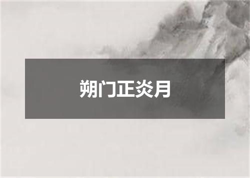 朔门正炎月