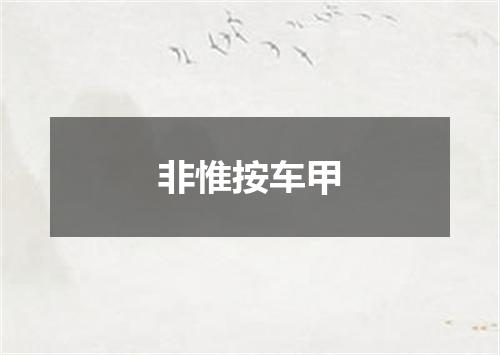 非惟按车甲