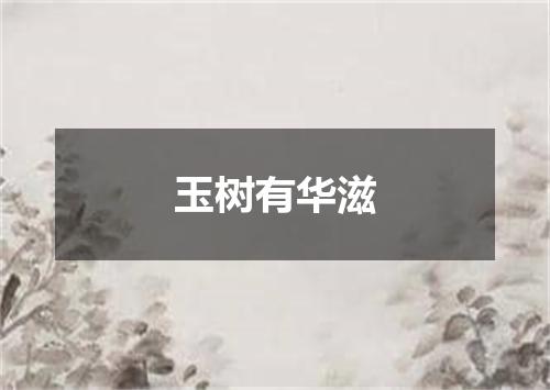 玉树有华滋