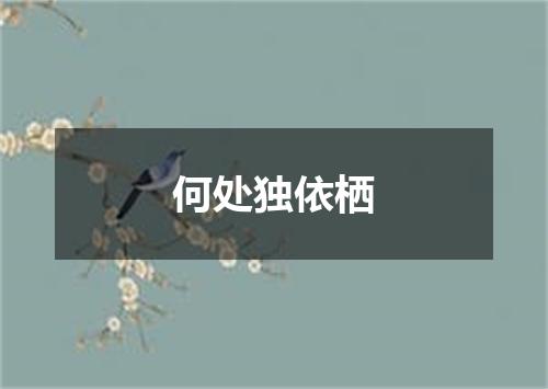 何处独依栖