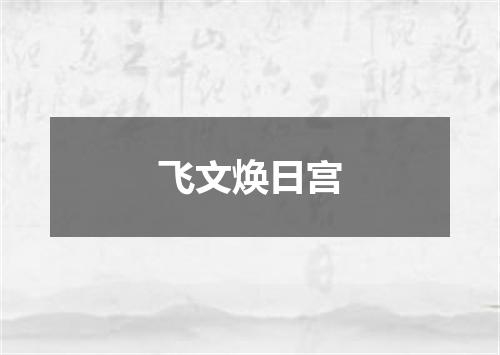 飞文焕日宫