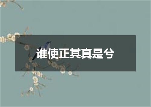 谁使正其真是兮