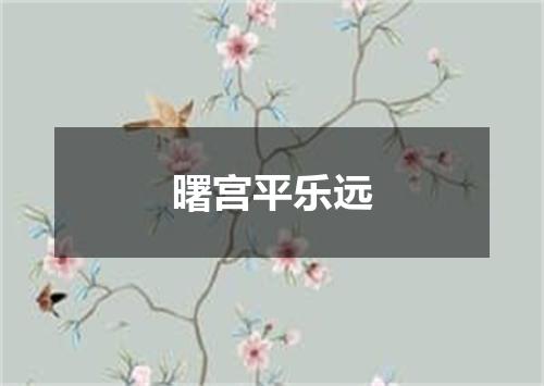 曙宫平乐远