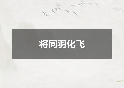 将同羽化飞