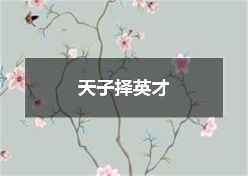 天子择英才