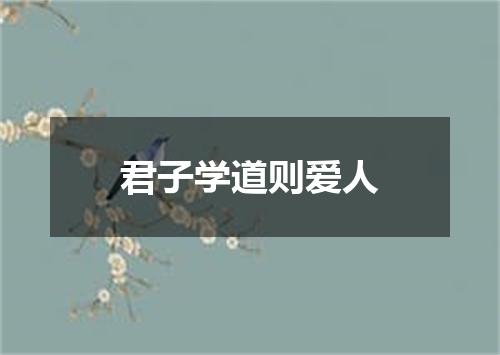 君子学道则爱人
