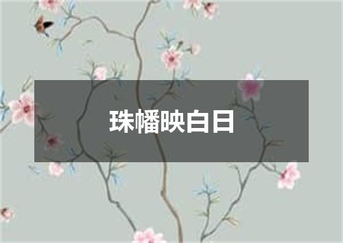 珠幡映白日
