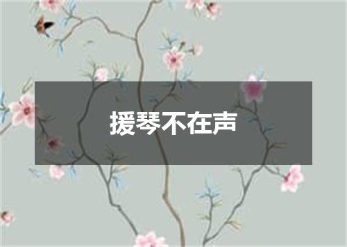 援琴不在声