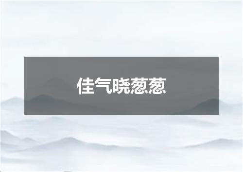 佳气晓葱葱