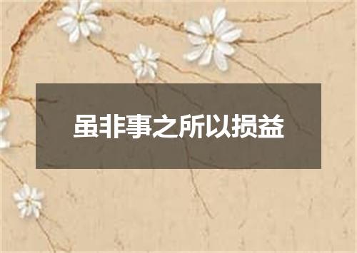 虽非事之所以损益