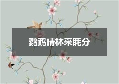 鹦鹉晴林采眊分