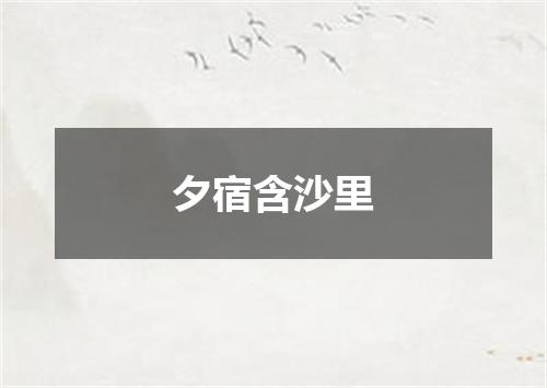 夕宿含沙里
