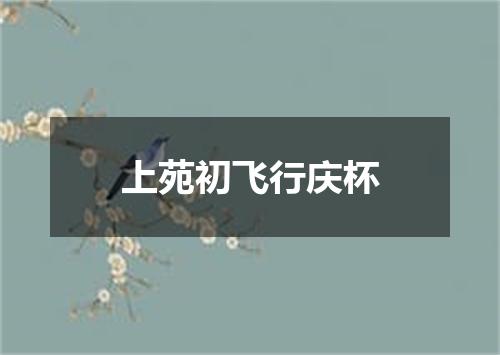 上苑初飞行庆杯