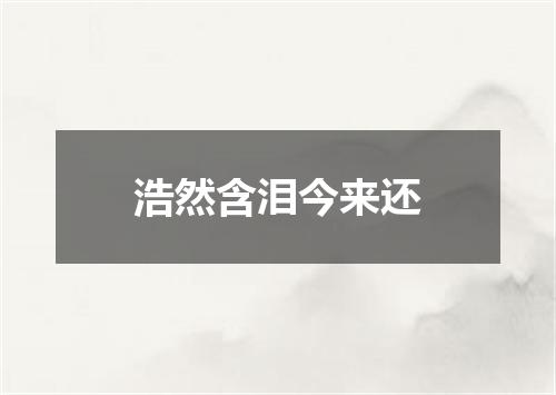 浩然含泪今来还