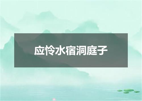 应怜水宿洞庭子