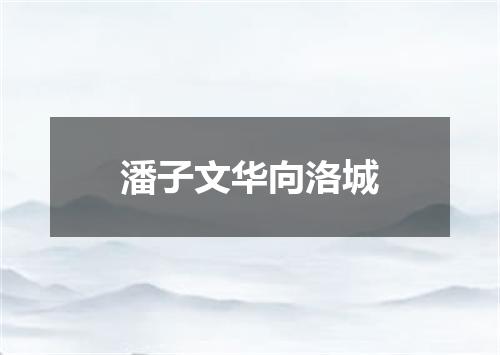 潘子文华向洛城