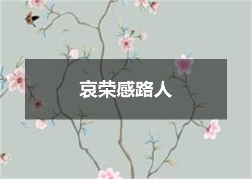 哀荣感路人