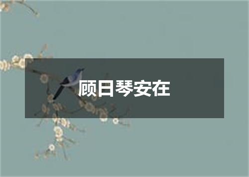 顾日琴安在