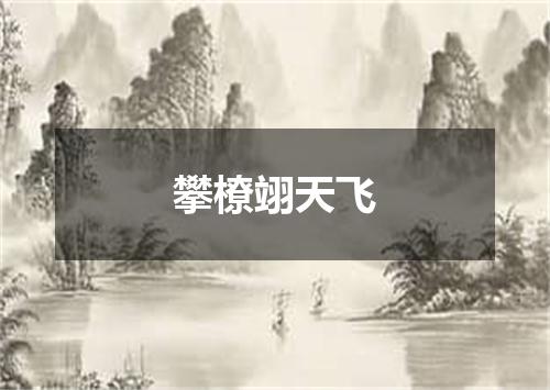 攀橑翊天飞