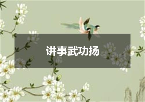讲事武功扬