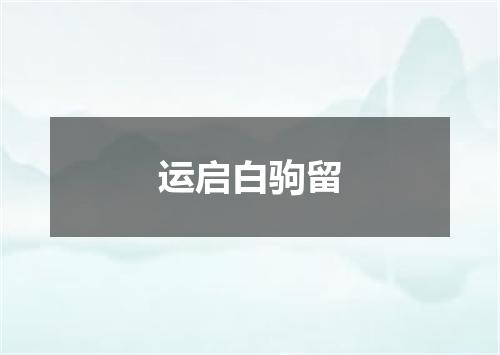 运启白驹留