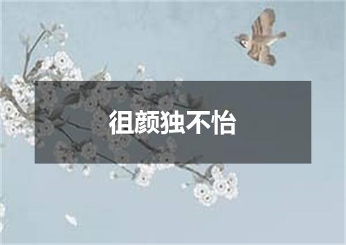 徂颜独不怡