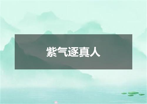 紫气逐真人