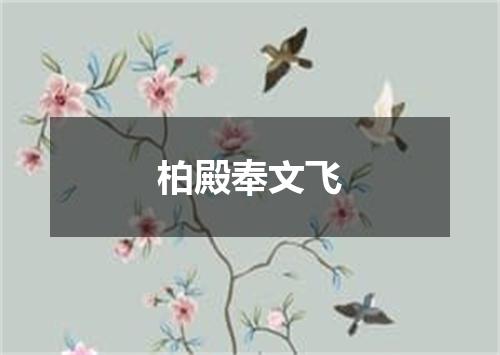 柏殿奉文飞
