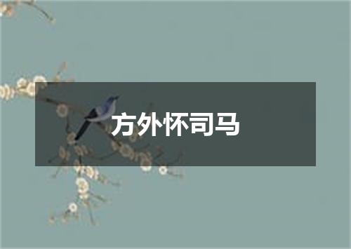 方外怀司马