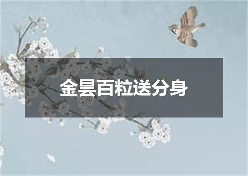 金昙百粒送分身