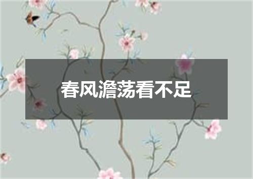 春风澹荡看不足