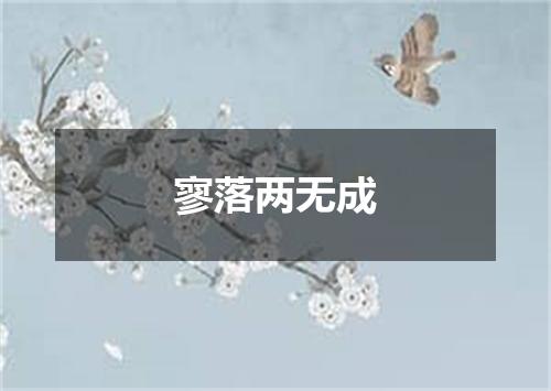 寥落两无成