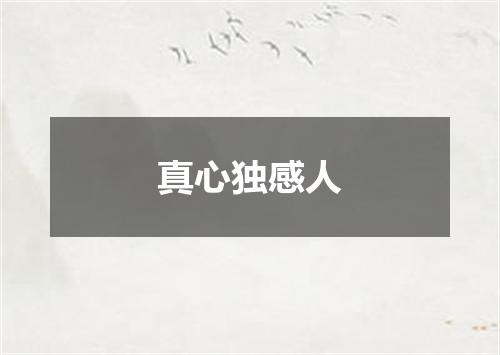 真心独感人