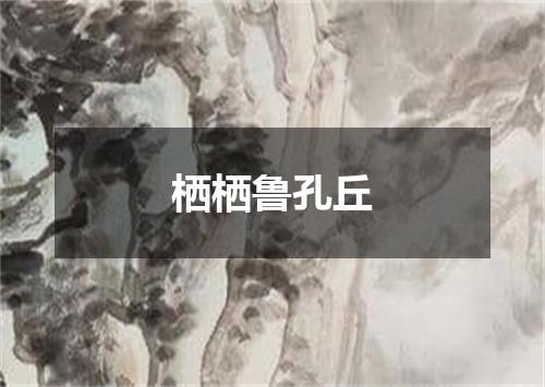 栖栖鲁孔丘