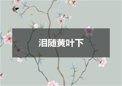 泪随黄叶下