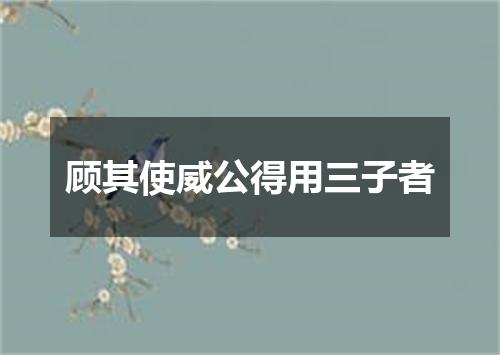 顾其使威公得用三子者