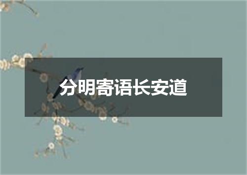 分明寄语长安道