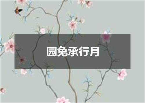 园兔承行月
