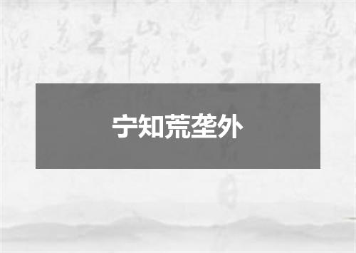 宁知荒垄外