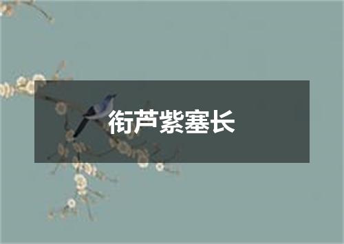 衔芦紫塞长