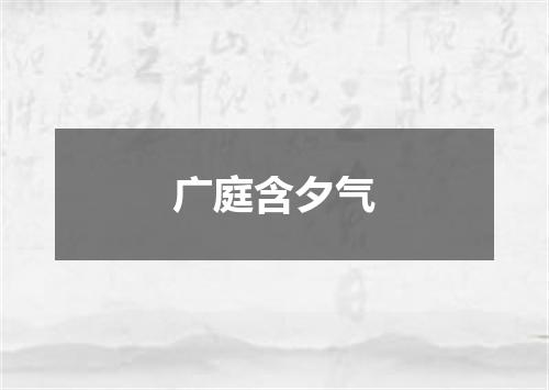 广庭含夕气