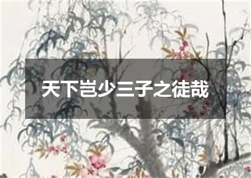 天下岂少三子之徒哉