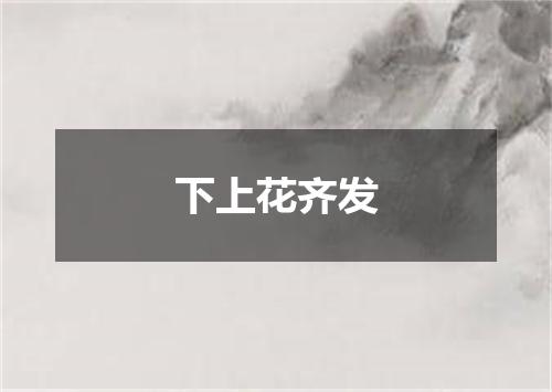 下上花齐发