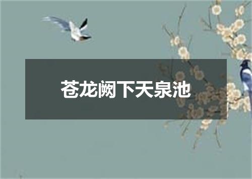 苍龙阙下天泉池