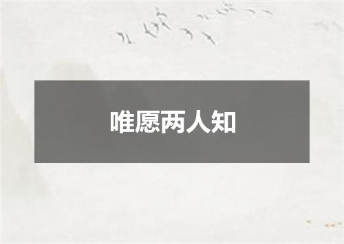 唯愿两人知